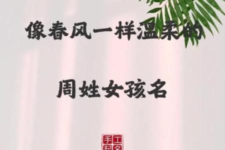 周姓女孩名字大全-周姓女孩起名字大全-周姓名字大全姓名