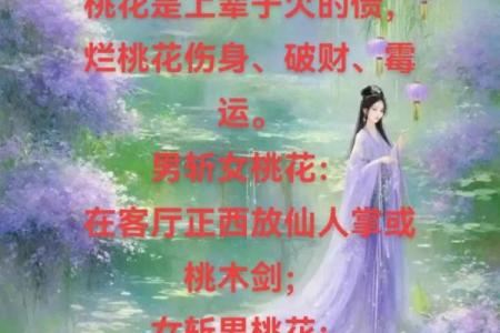 算命的说我烂桃花特别多  算命说的烂桃花是什么意思