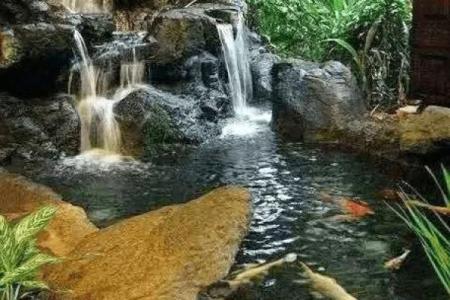 西边有池塘风水