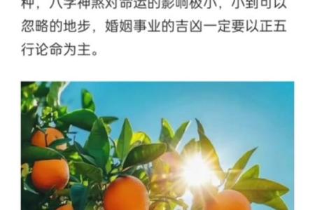 算命说命里有将军剑