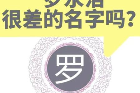罗姓女孩名字大全-罗姓女孩起名字大全-罗姓名字大全姓名