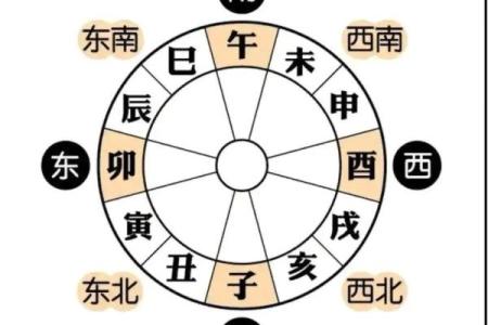 八字寅数字是几