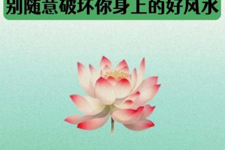 哪种风水会破坏财运-
