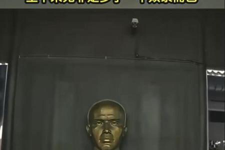 谭嗣同八字