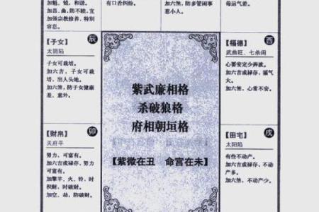 紫薇斗数流分盘