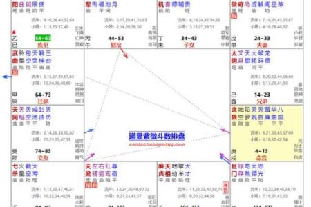 紫薇斗数各宫化