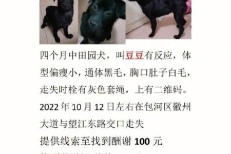 合肥哪有算命的靠谱