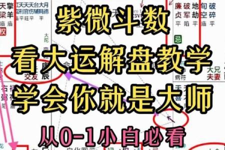紫微斗数命盘大运流年解析0623