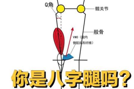 八字脚腿