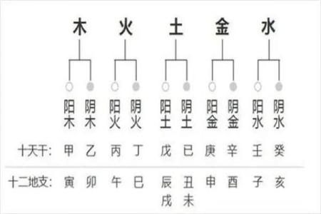 当我学会了看四柱八字怎么办