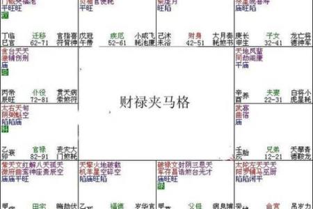 进退马紫薇斗数