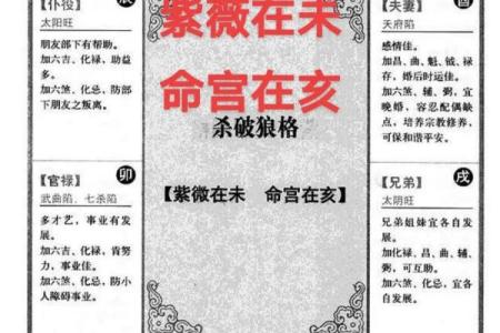 紫薇斗数宫不好