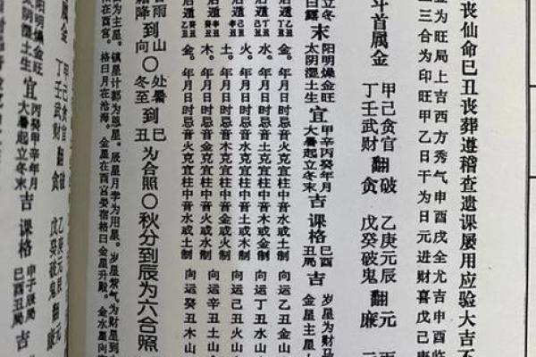 丙山壬向兼午子风水