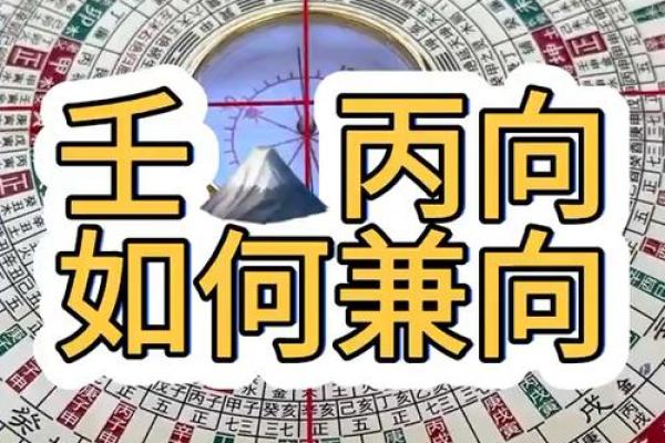 丙山壬向兼午子风水