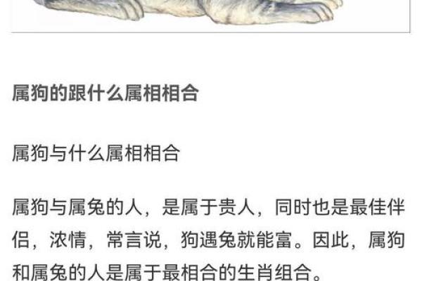 八字和面相能对上吗男命