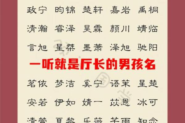 下午4点出生的属蛇男孩要如何起名，宜用什么字姓名