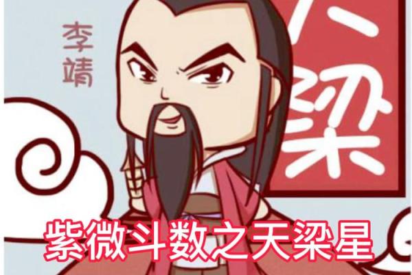紫薇斗数天梁