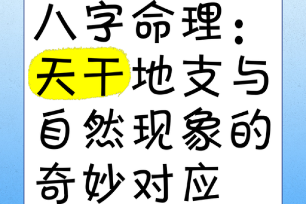 八字与投机