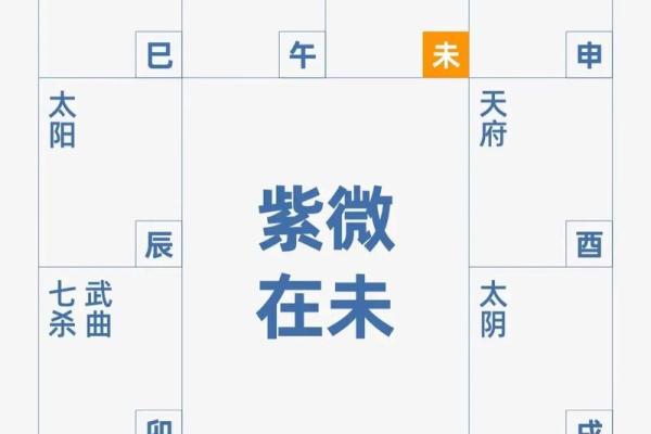 银行紫微斗数 紫微斗数经典格局？