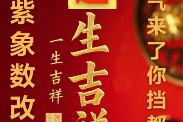 八字紫运