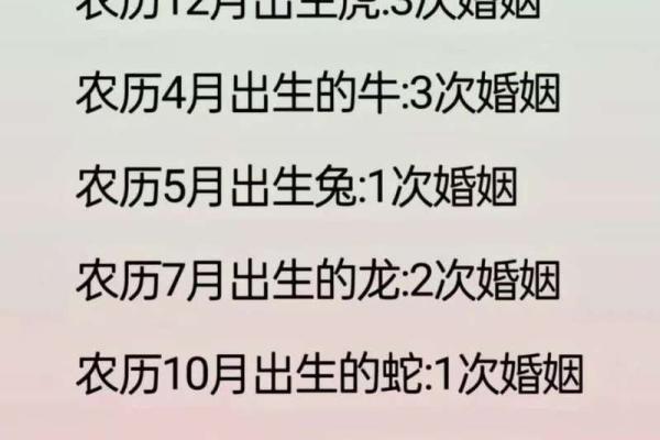 姓名生日配对测试婚姻缘 姓名生日测试打分免费？