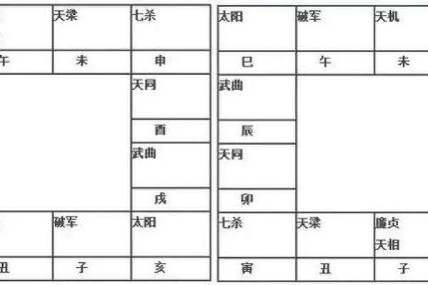 紫薇斗数怎么排盘的