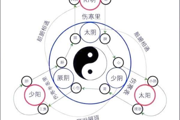 中国风水文化_易经黄帝内经和道德经式微的根源是什么