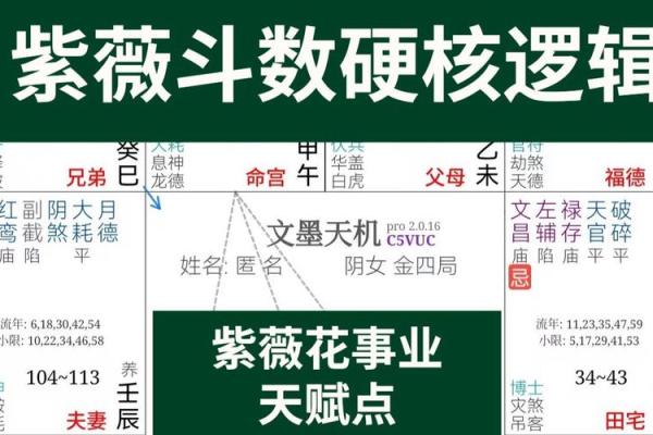 紫薇斗数的紫薇星