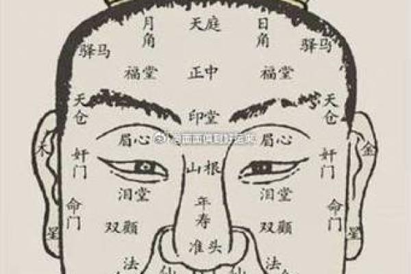 发际线的面相风水，你知道吗