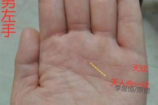 风水断掌的男人的命好不好