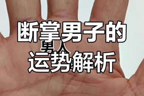 风水断掌的男人的命好不好