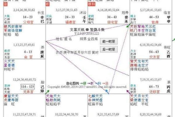 紫薇斗数部署宫