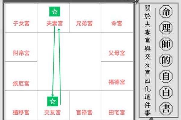 紫薇斗数看样貌