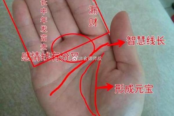 怎样看手纹给自己算命 富贵的手相
