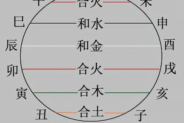 易经详解八字地支相合之六合局