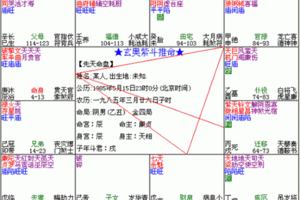 紫薇斗数领袖格局