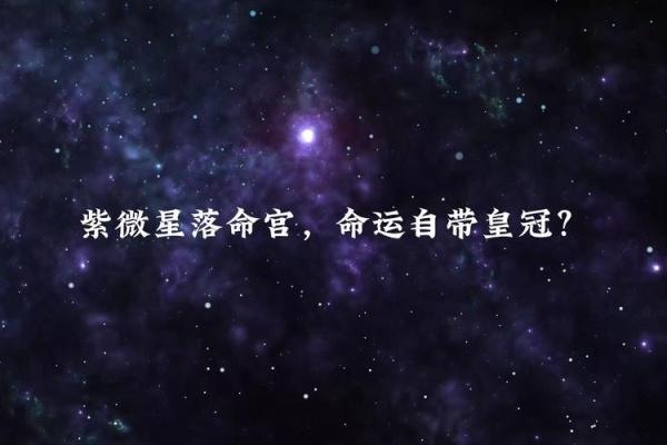 紫薇星是什么
