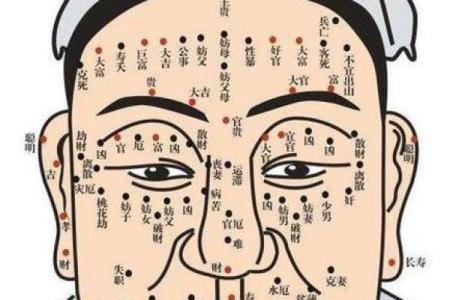 头发算命,头发向前倒的人的面相分析