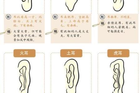 耳朵风水里代表什么