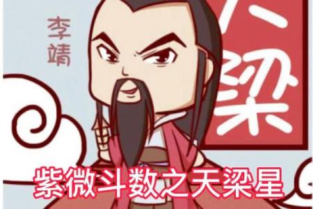 紫薇斗数天梁