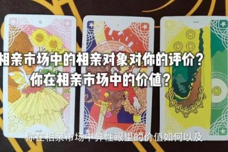 塔罗测试：该不该和相亲对象结婚