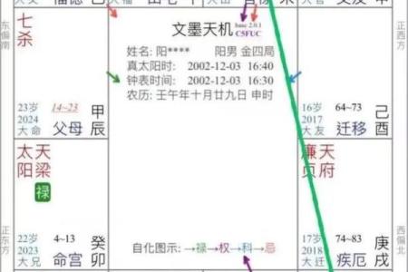 紫薇斗数事业怎么看