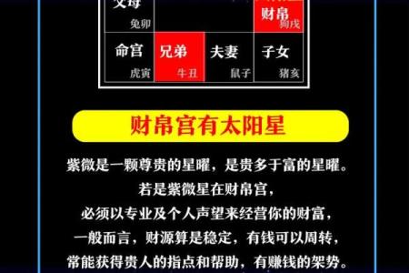 紫薇斗数中哪些属于财星