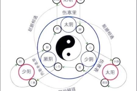 中国风水文化_易经黄帝内经和道德经式微的根源是什么