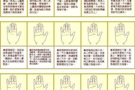 看手相算命图解：掌线