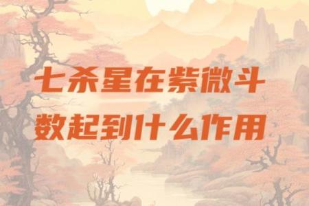 紫薇斗数部下七杀