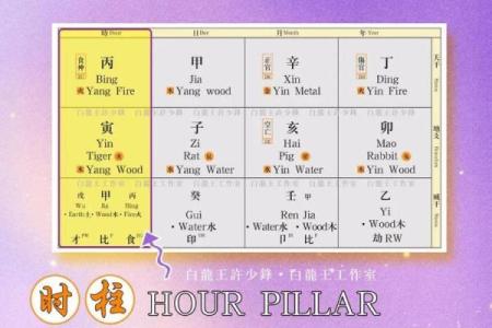 八字人生运势曲线图