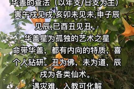 八字华盖星