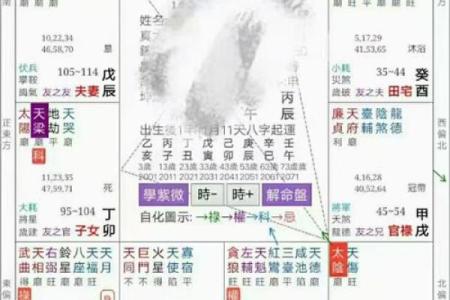 紫微斗数术语解释之：三方四正