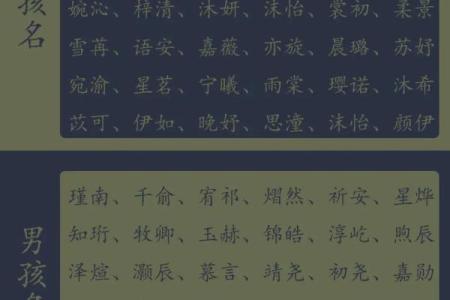 2021年农历六月二十三日出生男孩名字大气取名大全姓名